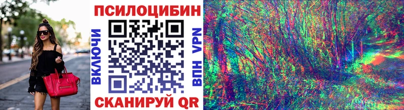 shop официальный сайт  Муравленко  Галлюциногенные грибы Psilocybe  цены  
